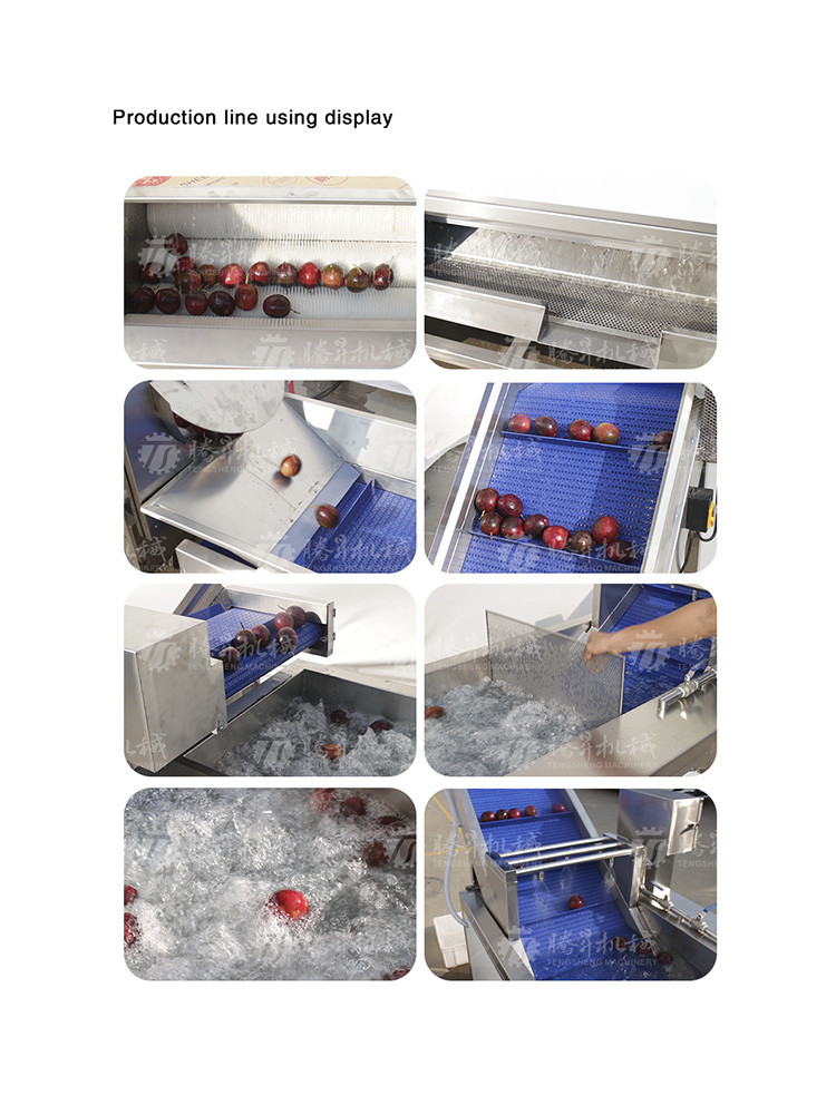 Multifunctional Vegetable And Fruit Processing Line Hair Roller Bubble Cleaning Production Line