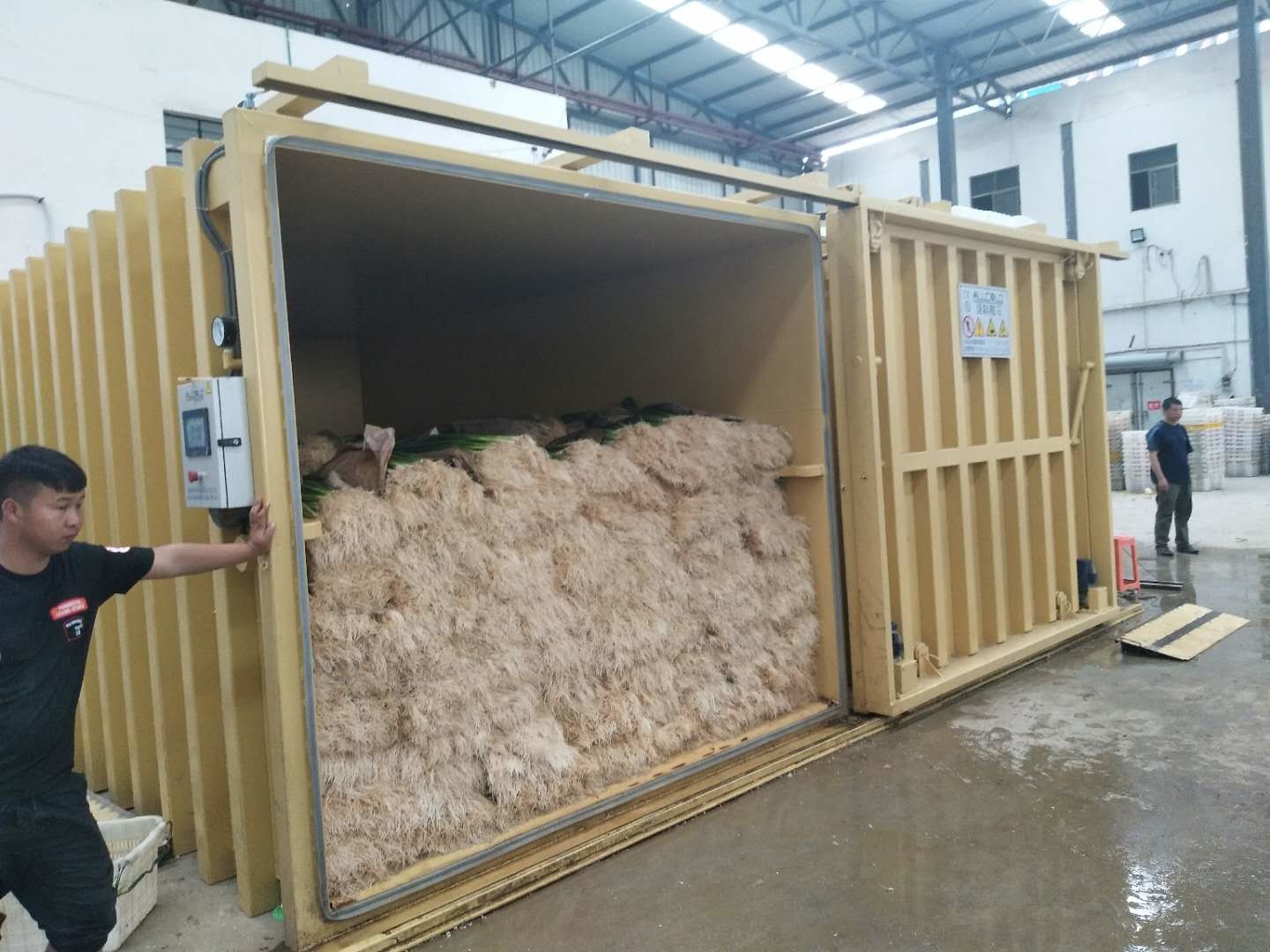 Automatic Vacuum Cooling Machine For Leafy Vegetable / Edible Fungi / Oyster / Mushroom