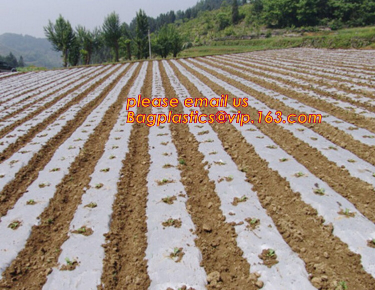 cheap and durable plastic colored anti mosquito netting/window insect screen,Industrial Agricultural Greenhouses use 2m