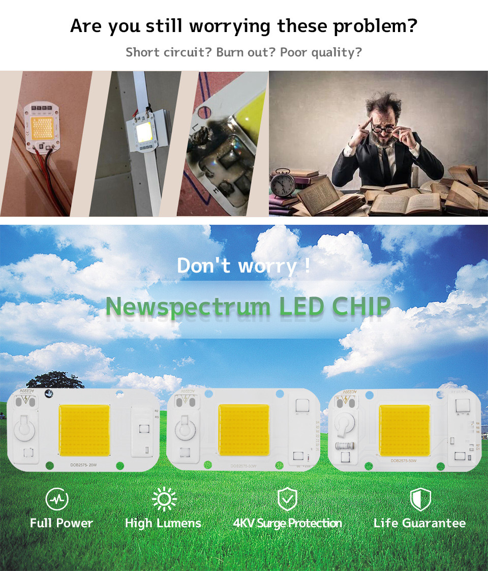 Driverless AC 50W LED Chip Flip Chip Cob Led For DIY Floodlight