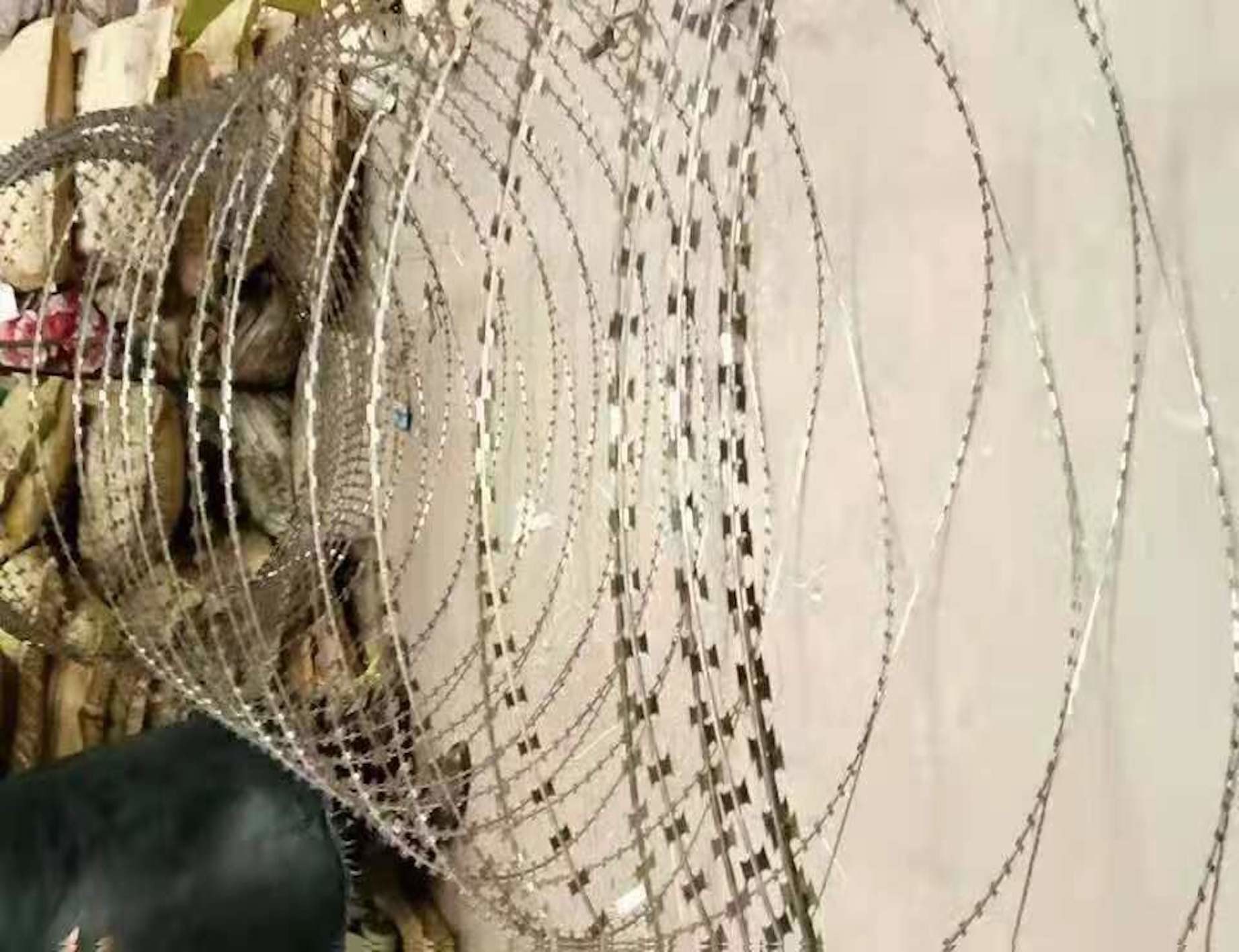 Ink Green Anti Theft Razor Sharp Wire Economical Barbed Wire Coil Fencing