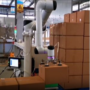 High Speed Huayan Robotics S20 S30 S40 S50 Heavy Payload Cobot Handling