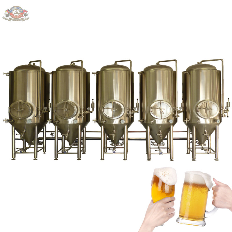 craft beer brewing equipment for small pub or microbrewery with capacity 300L per batch