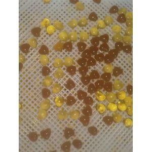 Paintball Samll Capacity Automatic Capsule Machine With Fromula / Raw Material