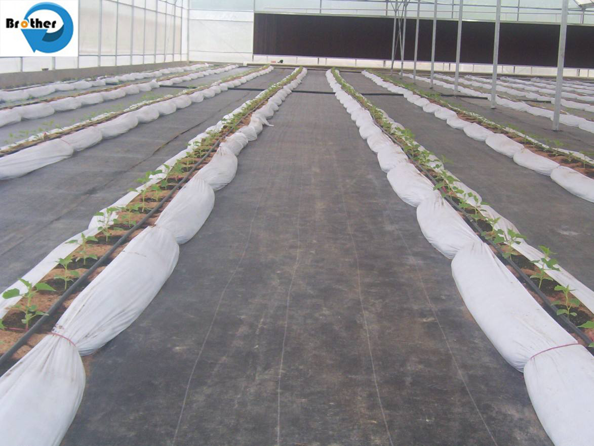 UV Treated Agriculture Weed Control Mat Black Plastic Mulch Ground Cover Weed Barrier Fabric Anti Grass