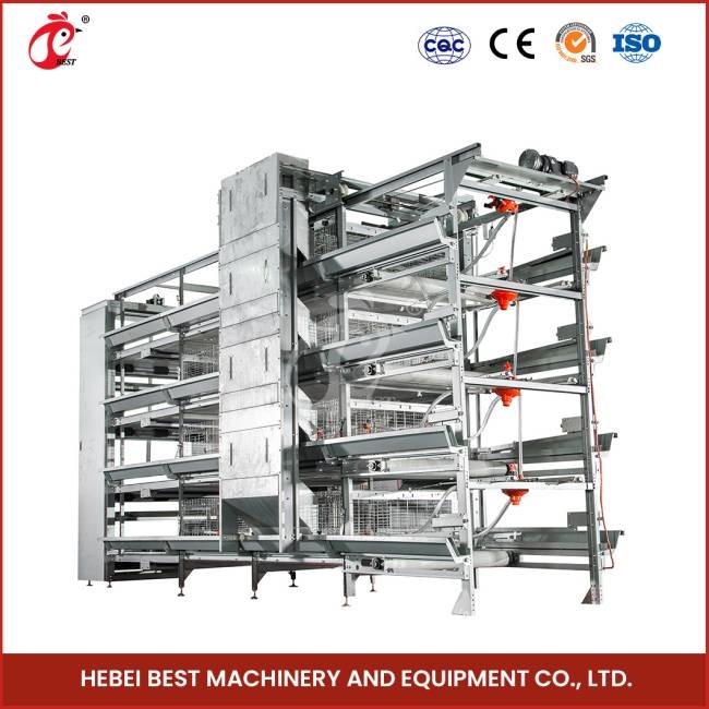 Hot Dipped H 4 Tier Type 25 Years Lifespan Broiler Chicken Cage Doris