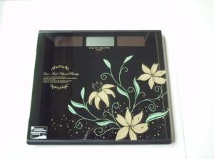  backlight display 6mm tempered glass Travel Weighing Scales Manufactures