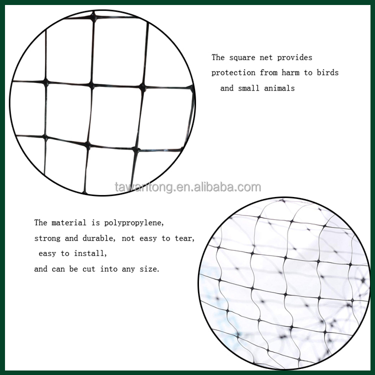 1.5cm Mesh 27gsm PP Anti Bird Net for Grapes or Fruit Trees Customized Length
