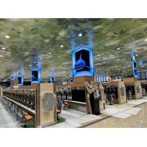 High Reliability Indoor LED Screen with Customizability and Full Front