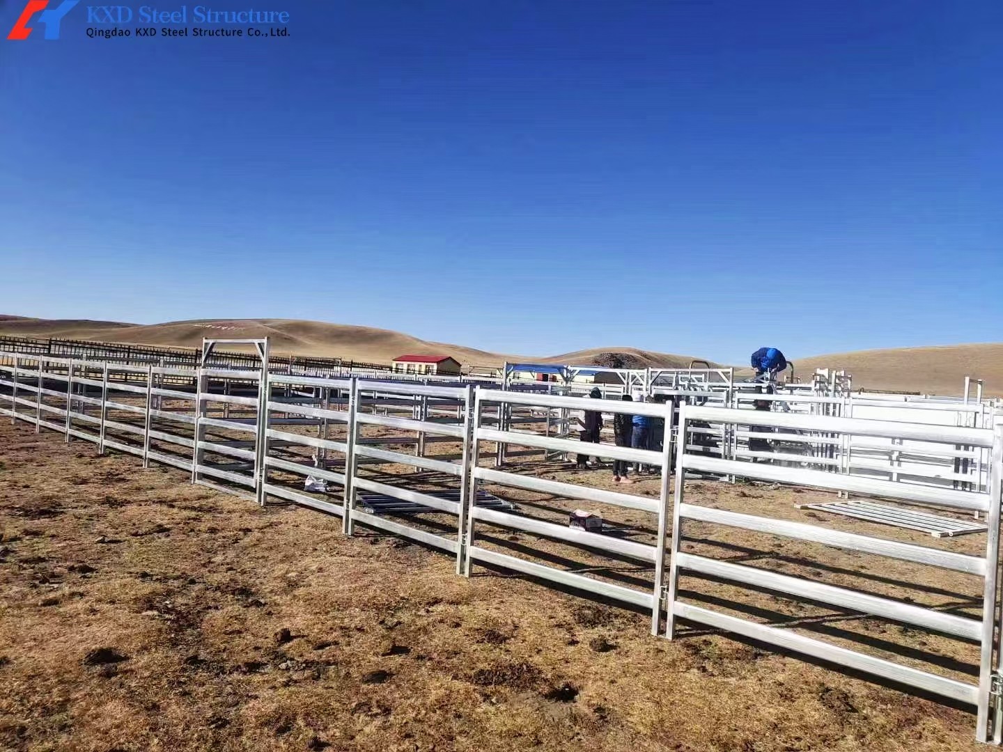 Easy Install Metal Cattle Shed Onsite Installation Steel Animal Husbandry Equipment