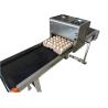 Buy cheap High Output Egg Jet Printer With Environmental Protection Food Safe Ink from wholesalers