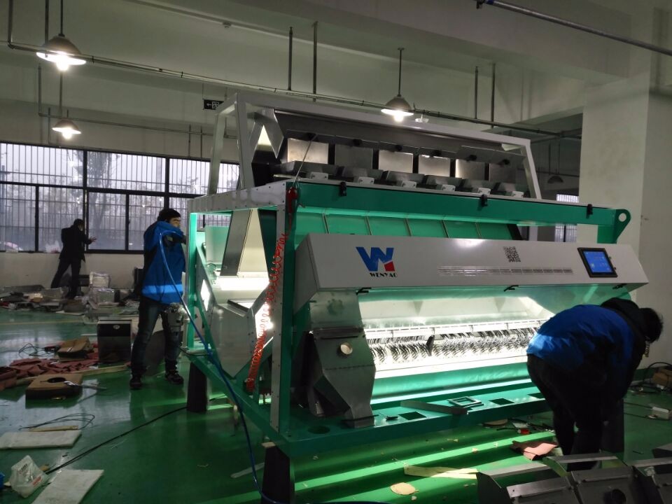 Macadamia Nut Wenyao Color Sorter For Walnuts Hazelnuts Almonds Pistachios