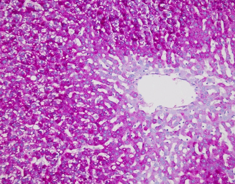 Amylase Solution Baso Clear Colourful Stains for Medical Diagnosis