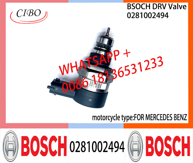 BOSCH DRV Valve 0281002494 Control Valve 0281002494 FOR MERCEDES BENZ
