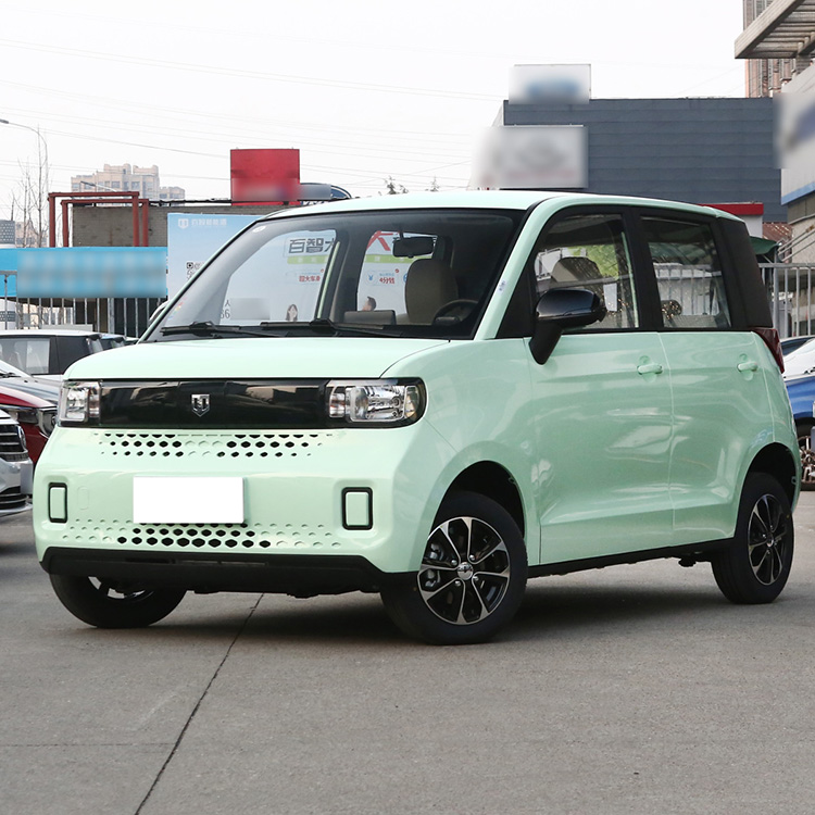 Affordable Mini Car Low Speed EV Vehicle for Your Business Needs