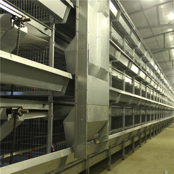 High Efficiency Baby Chick Cage Large Capacity Easy To Clean ISO9001 Approval