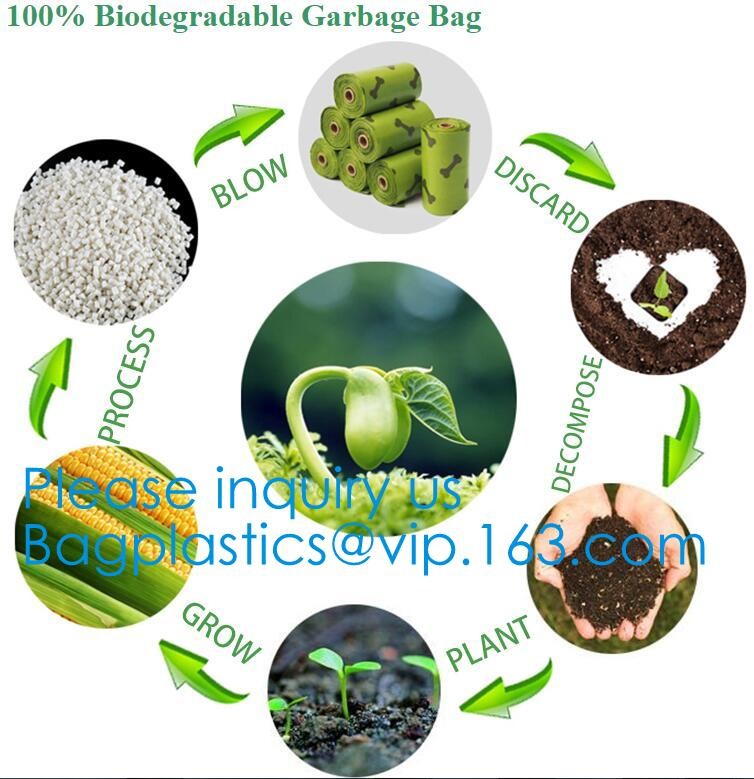 Sugarcane Pulp Bagasse Cassava Biodegradable Packing Freezer Food Fruit Shopping Bag, Home Compostable Garbage Bag