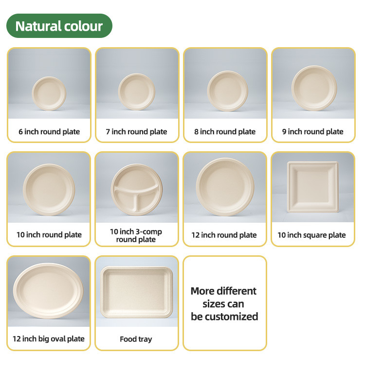 White 3 Compartment Bagasse Tray Original Color Dinner Sugarcane Bagasse Pulp 10 Inch Round Plates