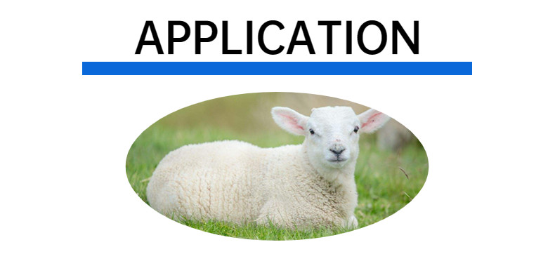 Small Animal Sheep Ear Tag 300 N 80 * 12 * 20mm For Goat