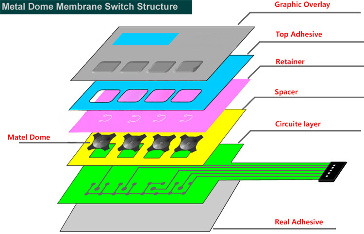 Dustproof LED Display Metal Dome Membrane Switch With 3M55230 Back Adhesive