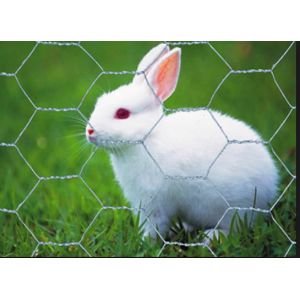 1/2" Galvanized Hexagonal Wire Mesh BWG27 Triple Twist