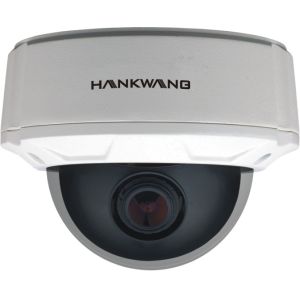 Wireless NTSC Video Security Vandal Proof Dome Camera With SONY CCD Sensor