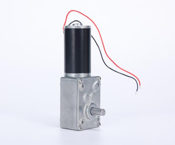 Faradyi Customized Factory Supply Electric 12V 24V High Torque Gear Motor Worm