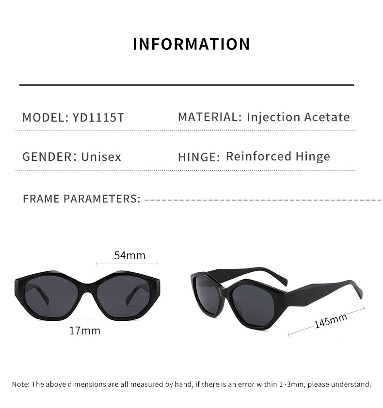 Big Size Acetate Frame Sunglasses Irregular Frame Sunglasses TAC Lens For Women
