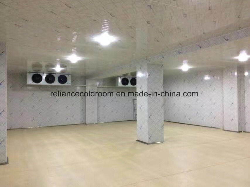 Walkin Cooler Cold Room Storage Cooling System for Fruit and Vegetable