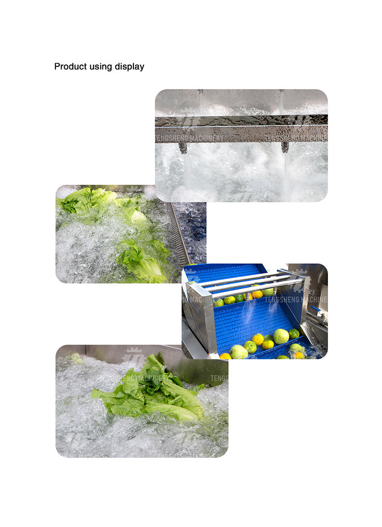 2000KG/H Fruit And Vegetable Washing Machine Bubble Washing Equipment