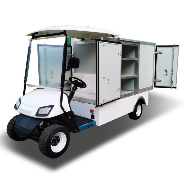 New design large capacity 2 Seater Custom Golf Cargo Can Transport Goods Store