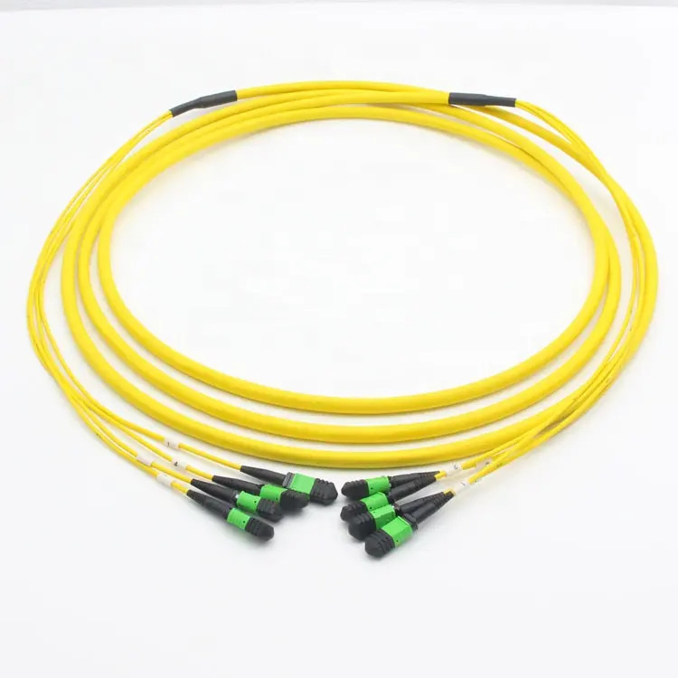 Data Center MPO/MTP Trunk Cable Patch Cord 48 core Single Mode Polarity B