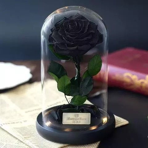 Best Valentines Day Gifts Multiple Colours Preserved Everlasting Real Rose Flower in Glass Dome