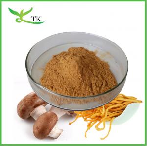  Mix Super Food Powder Private Label Mushroom Blend Extract Supplement Manufactures