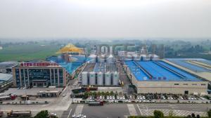  1500TPD Edible Crude Oil Extraction Equipment Fully Automatic Manufactures