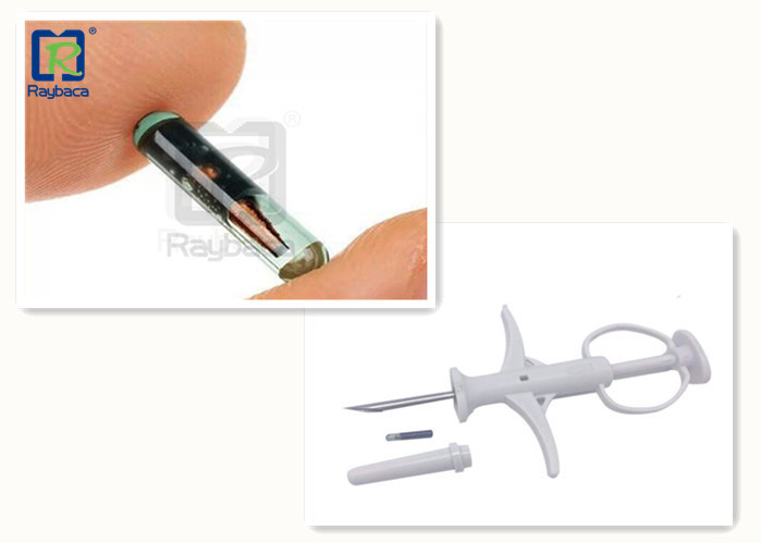 Bio Glass Microchip Transponder