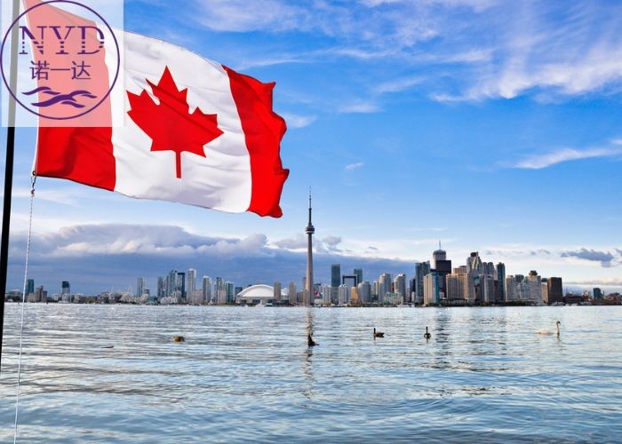 Reliable Freight Forwarder China To Canada Sea / Air Shipping For Easy Logistics