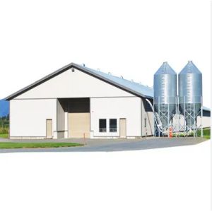 Easy Assembly Steel Structure Chicken House Customized For Poultry Farm Building