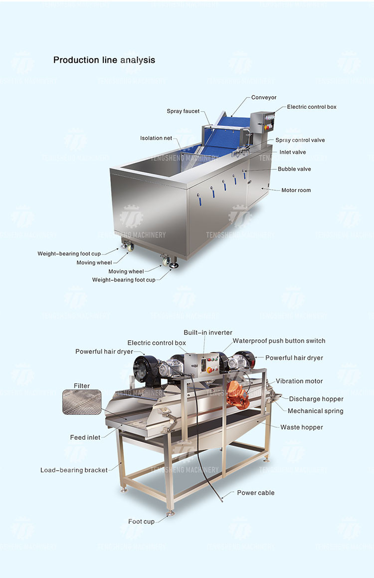 Vegetables and Fruits Bubble Cleaning Vibration Air Drying Machine Production Line