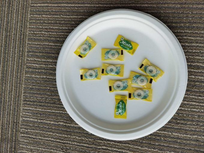 10 Inch Round Compostable Bagasse Disposable Plates