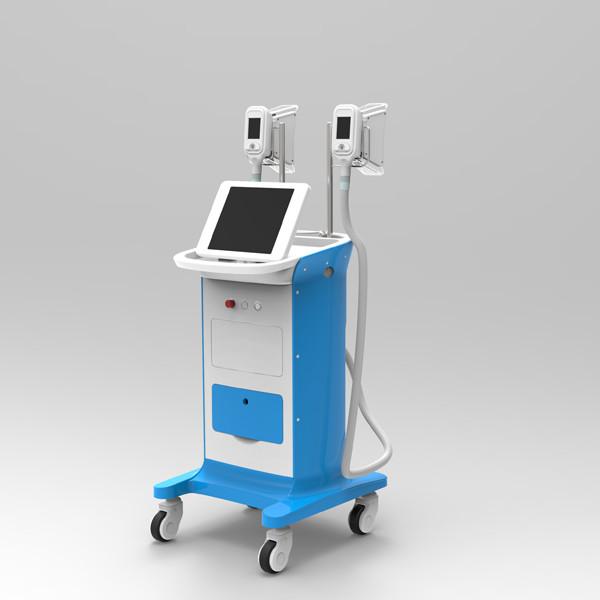 vacuum cavitation 2 handle cryo machine Cellulite Reduction Cryolipolysis