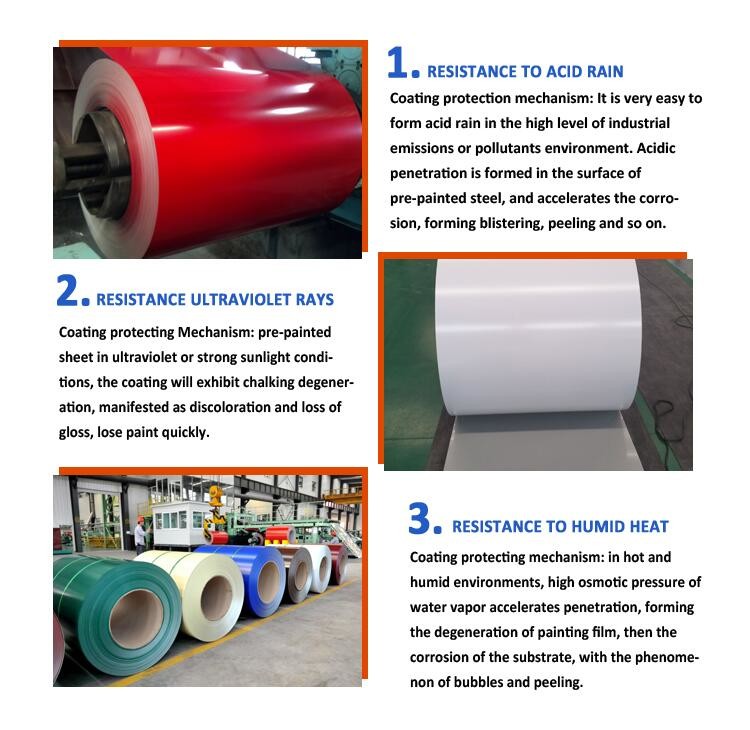 ASTM China Color Coated Steel Coil Coated Color Painted Metal Roll