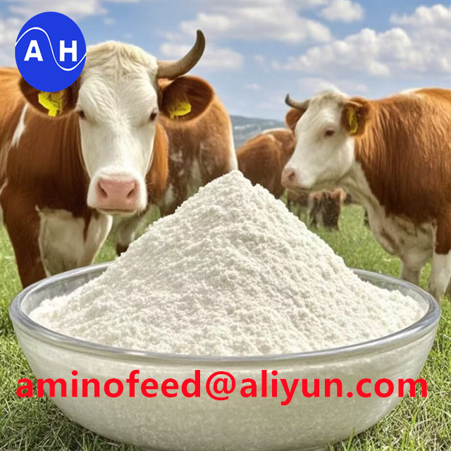 Feed Grade Hydrolyzed Soy Protein Powder 80% Amino Acid 75% Hydrolyzed Soy Protein Powder