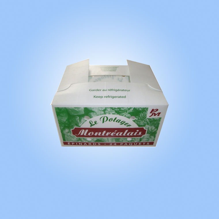 Food Packaging Corrugated Plastic Shipping Boxes For Fruit Cold Storage Transportation