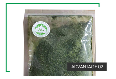 High Fiber Meals Dried Seaweed Green Laver Aonori Ulva Lactuca Powder Baking or Soup