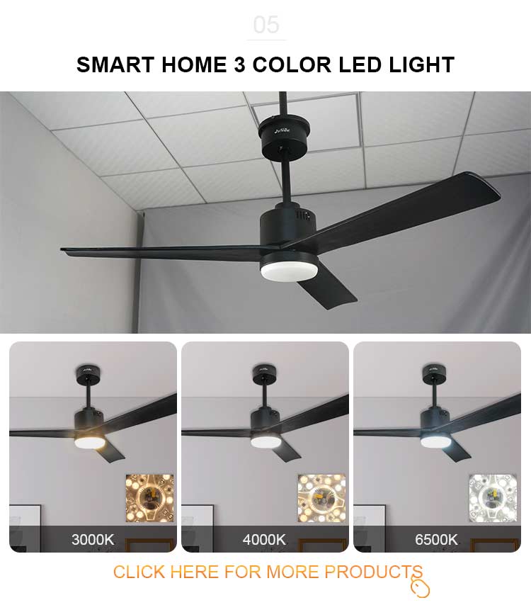 2022 Indoor Decorative BLDC Fan Ceiling Fan Light with Remote Control in Mulit Colors