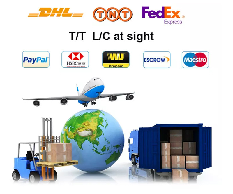 High Quality Truck Parts Vg1246080036 Fuel Injector