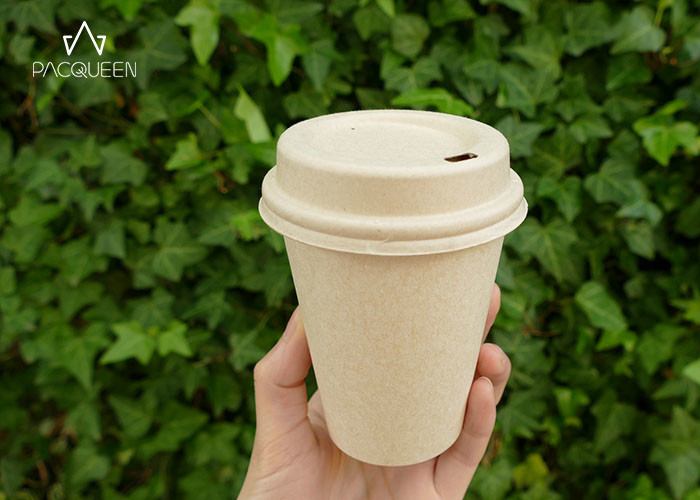 8 Oz/12 Oz/20 Oz Hot Drink Compostable Paper Cups Renewable Material With Lids