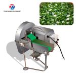 SS304 Vegetable Processing Machine Mini Electric Tabletop Onion Slicer Food