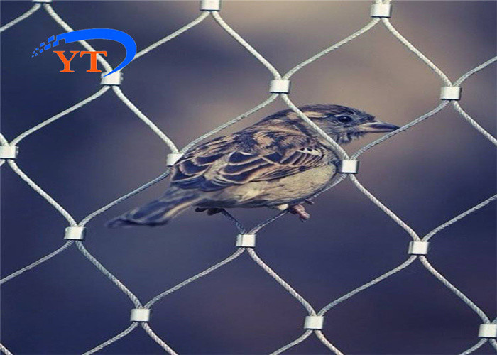 1.2mm 7*7 25mm Stainless Steel Zoo Mesh With Polish Surface Treatment
